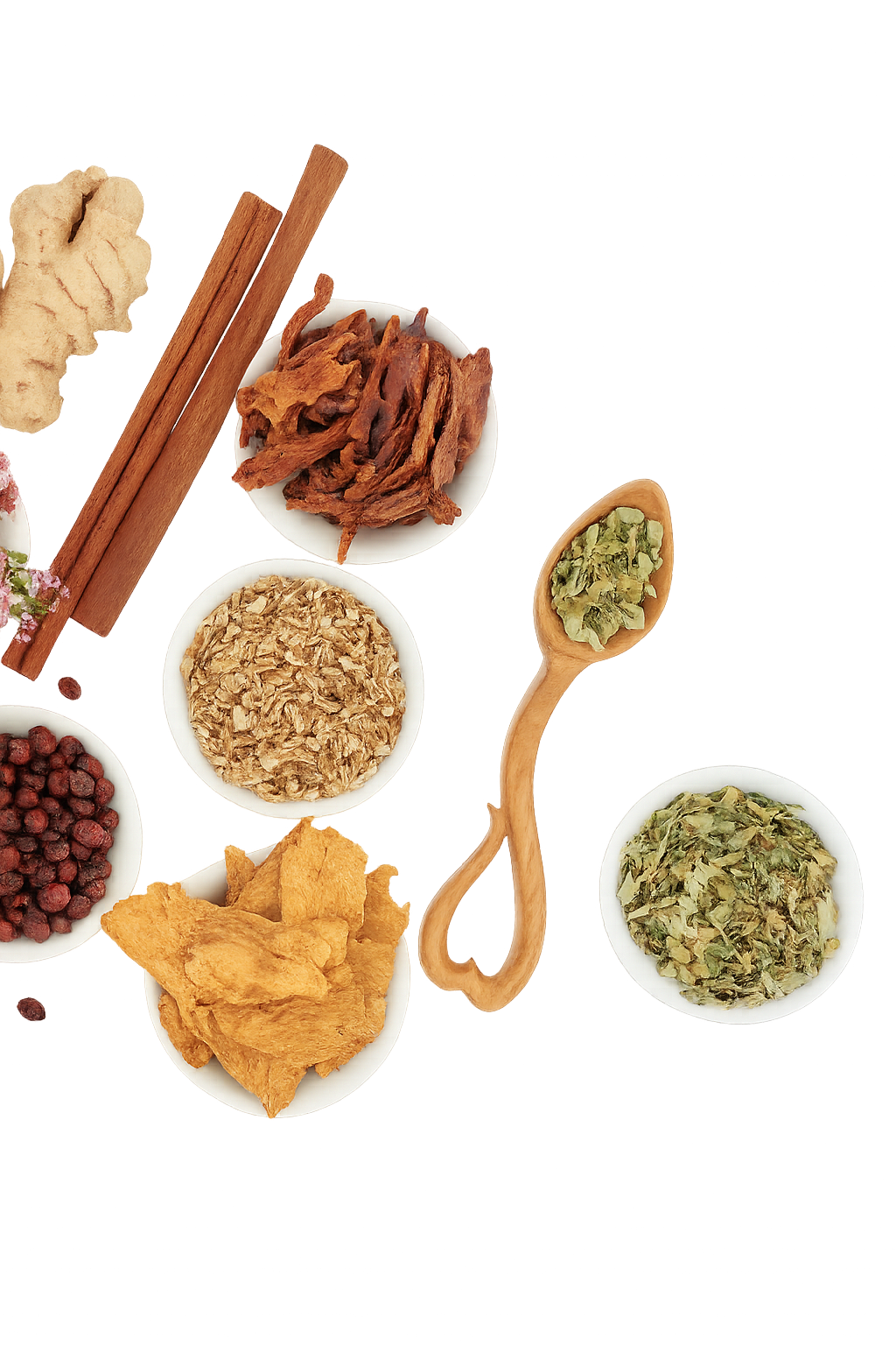 誠心堂薬局 漢方と鍼灸による妊活専門治療